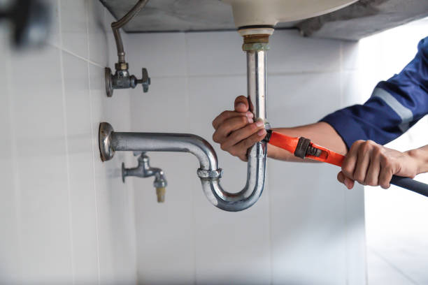 Best Clogged Drain Plumber  in Aurora, IN