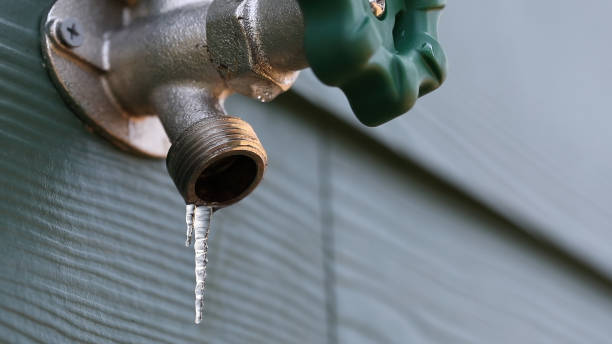 Best Leak Detection Services  in Aurora, IN